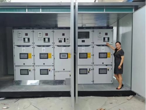 60后女企業(yè)家 把500多萬電氣設(shè)備賣出國,向世界展示中國制造才是精品
